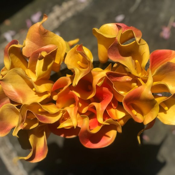 Luxe mango (fuego) calla lillies + vase - Picture 6 of 12